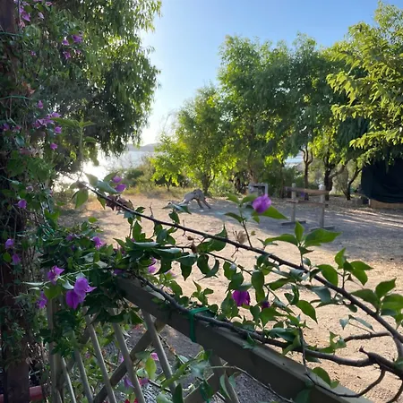 Konukevi S'abba Druche 3*