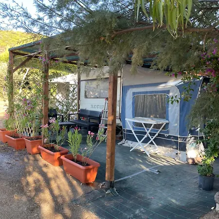 S'abba Druche בוסה