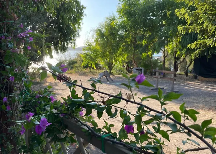 Pensjonat S'abba Druche 3*