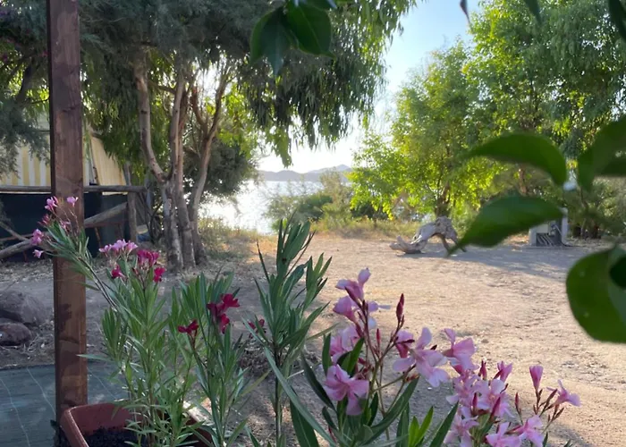 S'abba Druche 3* Bosa